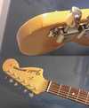 MUSTANG with Dimarzio 2.jpg